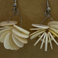Fan of Shell
